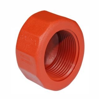 TAPON HEMBRA ROSCADO 1 POLIMEX ROSC